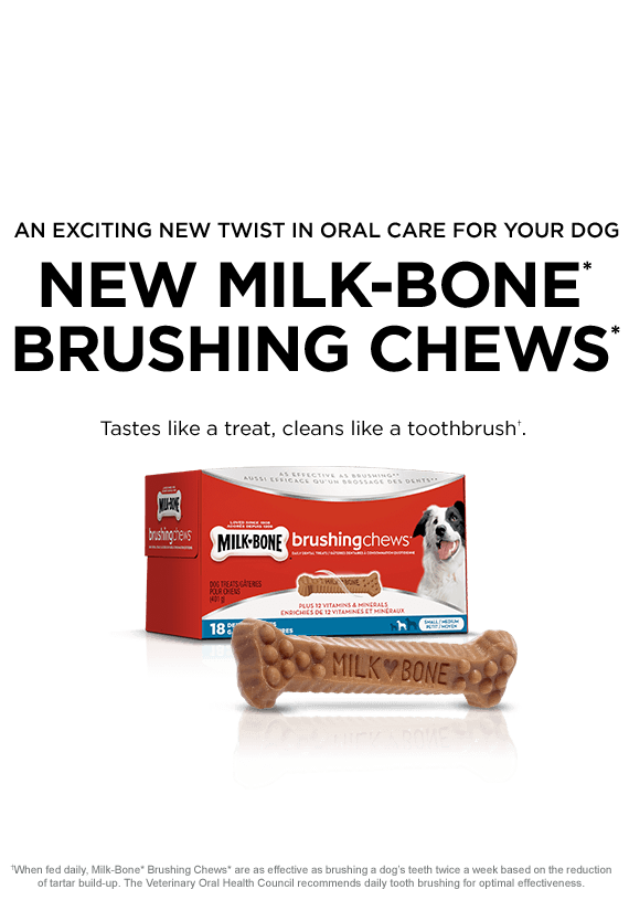 An exciting new twist in oral care for your dog. New Milk-Bone* Brushing Chews*.
